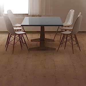 Floorpan Nova Parke Modelleri